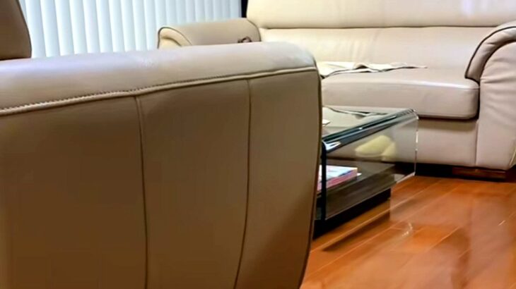 おばあちゃんの家にきた犬に『避難訓練です』と伝えた結果→とんでもなくお利口な『驚きの行動』が159万再生「ドヤ顔ｗｗ」「最後可愛い」(ブログ)