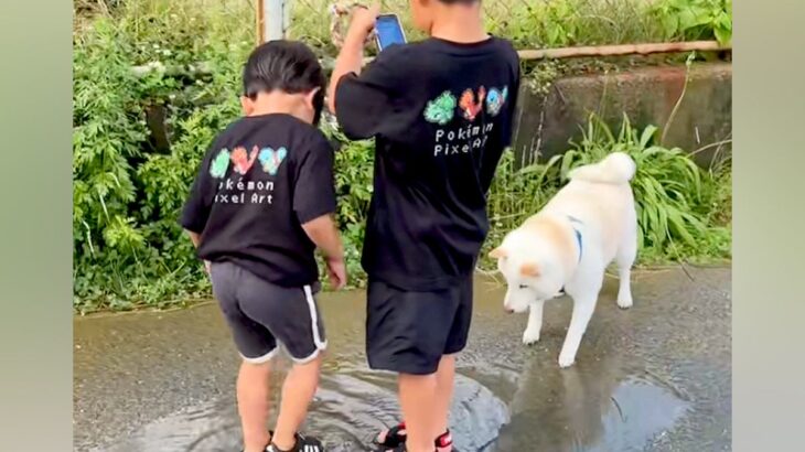 2人の男の子と犬が『水たまり』を見つけた結果→夢中になって遊び始めて…帰る気が全くない光景に反響「仲良しで可愛い」「三人兄弟みたい」(ブログ)