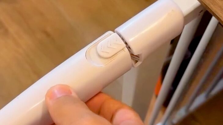 『押しても引いても開かず、ロックがかかった扉』を、大型犬が…『まさかの犯行』を捉えた光景が15万再生「人よりスムーズで草」「プロの技」(ブログ)