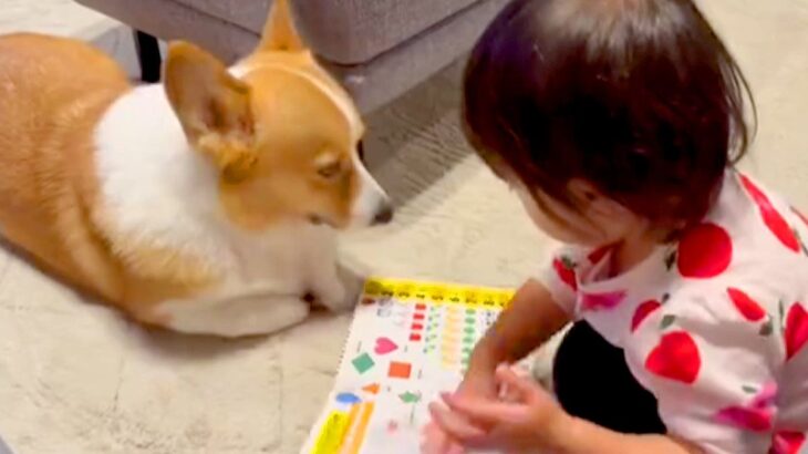 犬に『絵本の読み聞かせ』をする２歳の女の子→ずっと見ていたい『幸せな光景』が話題「めくるときに鼻に当たるの可愛い」「きゃわたまらん」(ブログ)