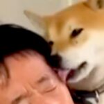 犬から舐められまくる父→想像以上の勢いで…思わず笑ってしまう『すべてを諦めている表情』が話題「なすがままｗｗ」「愛されてるね」(ブログ)