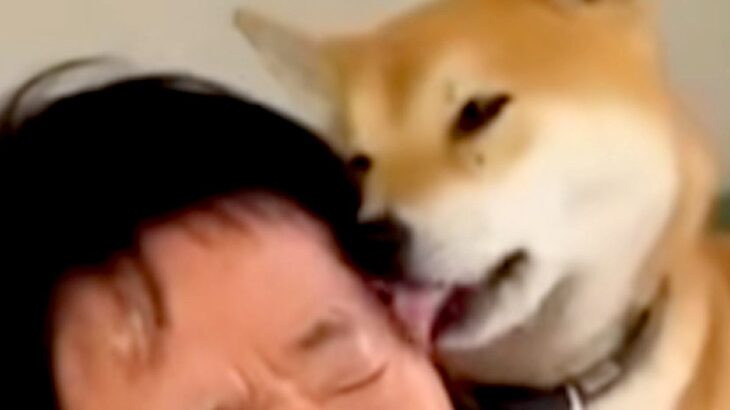 犬から舐められまくる父→想像以上の勢いで…思わず笑ってしまう『すべてを諦めている表情』が話題「なすがままｗｗ」「愛されてるね」(ブログ)
