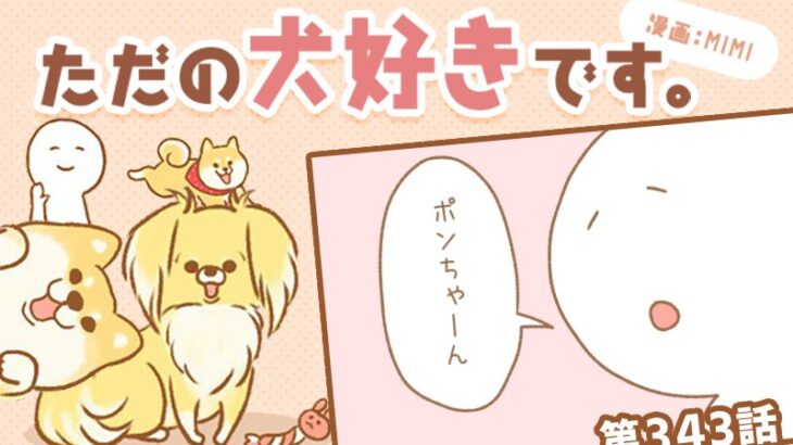 ただの犬好きです。【第343話】「かくれんぼ」(ブログ)