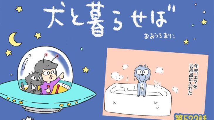 犬と暮らせば【第523話】「新年の抱負」(ブログ)