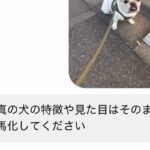 AIに犬の写真を送って『見た目はそのままで馬にして』とお願いした結果→想定外すぎる生成が105万再生「犬タウロスｗｗ」「吹いたｗ」(ブログ)