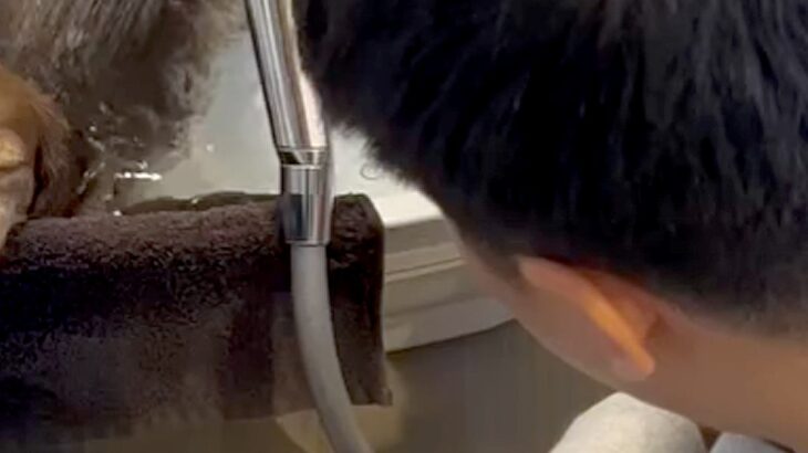 『旦那と犬が静かだな』と思って見に行くと、お風呂場にいて…家族愛を感じる『素敵な光景』が274万再生「可愛すぎてニヤニヤ」「顔が最高」(ブログ)