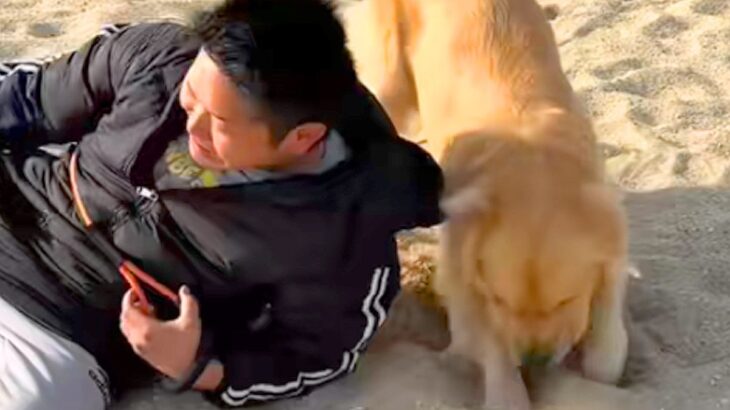 散歩で海にやってきた男性と大型犬→猛ダッシュした結果…思わず吹き出す『まさかのハプニング』が190万再生「事故で草」「全部フルパワーｗ」(ブログ)