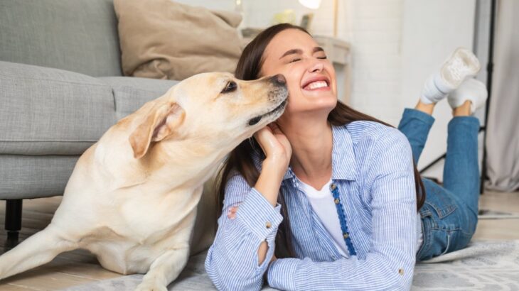 犬が『人のニオイを嗅ぐ』心理５選　熱心にチェックしてくるときの対処法までご紹介(ブログ)