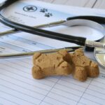 犬の『病院代』年間で必要な金額とは？医療費の目安はどのくらいなの？負担を軽くする方法まで(ブログ)