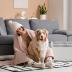 犬が『耐えられる寒さ』とは？冬場の室温は何度に保てばいいの？設定する際の温度まで(ブログ)