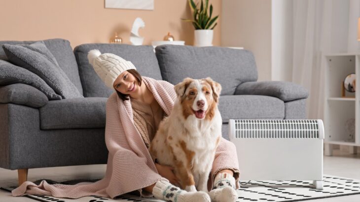 犬が『耐えられる寒さ』とは？冬場の室温は何度に保てばいいの？設定する際の温度まで(ブログ)