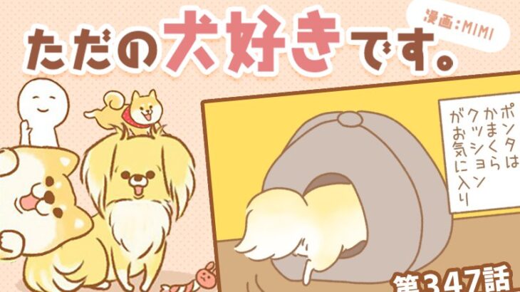 ただの犬好きです。【第347話】「バランス」(ブログ)