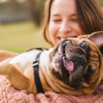 犬はいつも何を考えて生活しているの？愛犬の一日の過ごし方や日々の暮らしを充実させる秘訣まで(ブログ)