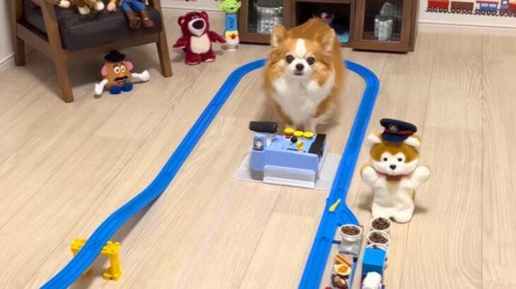 『貨物列車のおもちゃ』で遊ぶ犬→天才すぎる『本物の運転手のような腕前』に驚きと称賛の声「鉄オタ犬ｗｗ」「わたしより賢い」と29万再生(ブログ)
