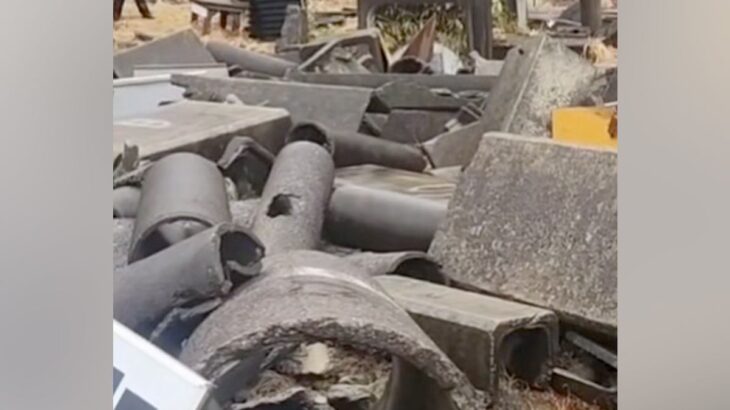 『国際災害救助犬』になろうと奮闘するワンコ→素敵すぎる『1匹の保護犬の物語』に感動の声「ウルウルした」「心からおめでとう」と6万再生(ブログ)