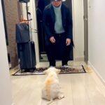 体が上手く動かず、目が見えない老犬と『1年ぶりの再会』を果たした結果…涙が止まらない『気付いた瞬間の行動』が64万再生「嬉しいの伝わる」(ブログ)