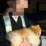 『推しのお坊さん』と半年ぶりに再会した犬→まさかの『一緒に年越し』することになり…幸せな光景に反響「煩悩の塊ｗ」「おとなしくてエラい」(ブログ)