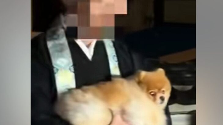 『推しのお坊さん』と半年ぶりに再会した犬→まさかの『一緒に年越し』することになり…幸せな光景に反響「煩悩の塊ｗ」「おとなしくてエラい」(ブログ)