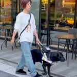 スタバの前を通る『目が見えない女性と盲導犬』→素通りするかと思いきや…まさかの展開が453万再生「誘導してるｗ」「絆を感じてほっこり」(ブログ)