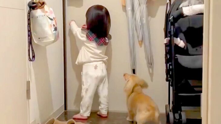 出張からパパが帰宅→小さな女の子と犬が玄関で待ち構えて…泣けるほど幸せな『尊い光景』が558万表示「熱烈歓迎」「早送りみたいｗ」と絶賛(ブログ)