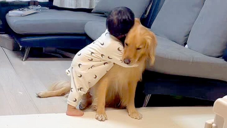 自分より早く生まれた『大型犬』が大好きな1歳の男の子→尊すぎる『愛を伝える成長記録』が163万再生「好き好きスリスリ」「可愛い兄弟」(ブログ)