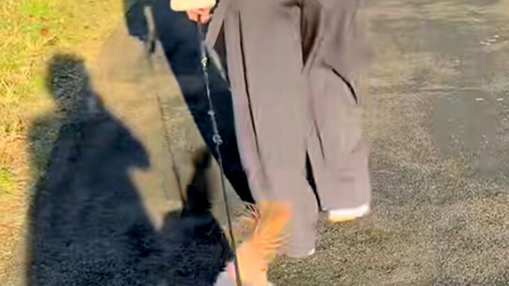 ママが大好きすぎる犬→お姉ちゃんが代わりにお散歩した結果…『散歩どころじゃない様子』が話題に「分かりやすい優先順位」「可愛すぎるｗ」(ブログ)