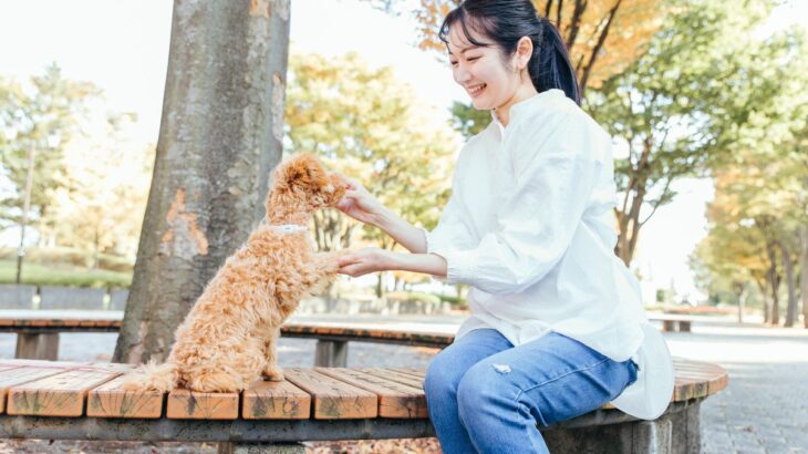 愛犬との信頼関係はどこで測るの？注目すべきポイントから信用されるためのコツまで(ブログ)