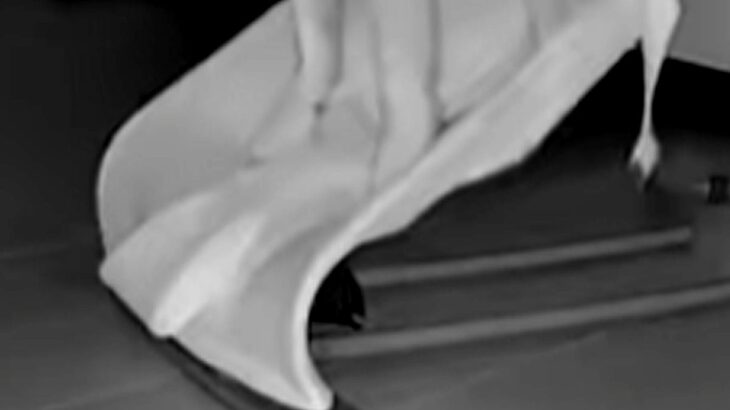 深夜2時、ふと『赤ちゃんのためのバウンサー』をカメラで確認してみたら⋯『まさかの状況』が26万再生「憧れてたんかなｗｗ」「愛しすぎる…」(ブログ)