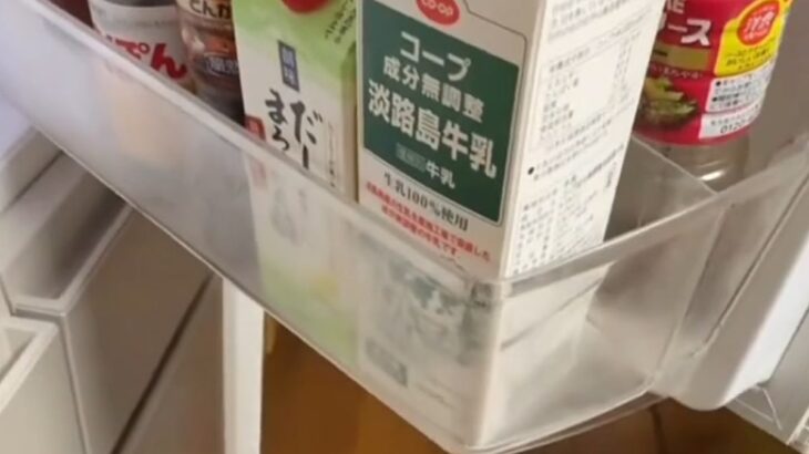 犬にバレずに『冷蔵庫からカニカマを取り出せるのか』検証→そーっと動いていたら…期待を裏切らない展開が30万再生「秒バレ」「絶対無理ｗ」(ブログ)