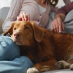 シャイな性格の犬がみせる『愛情表現』5選　可愛すぎる行動や控えめなワンコへの接し方まで(ブログ)