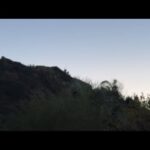 動物園の初日の出2026 first sunrise(YouTube)