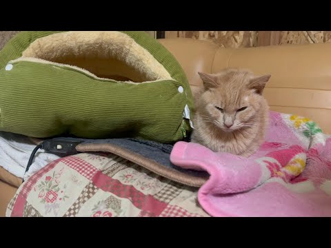 全然元気がなくなってしまいました(YouTube)