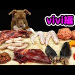 犬のASMR!!骨付き肉を食べるピットブルの咀嚼音がクセになる(YouTube)