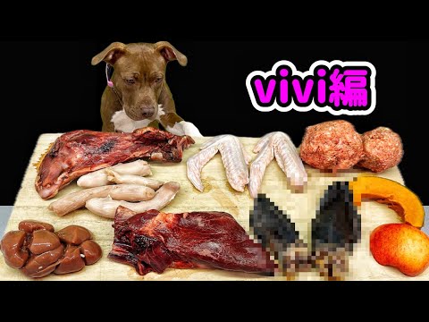 犬のASMR!!骨付き肉を食べるピットブルの咀嚼音がクセになる(YouTube)