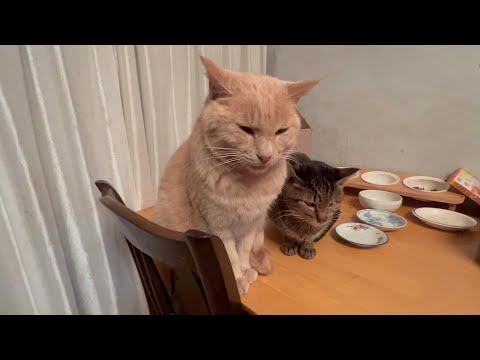 みんなが大切(YouTube)