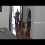 この二日の間に奇跡が起きてました。(YouTube)