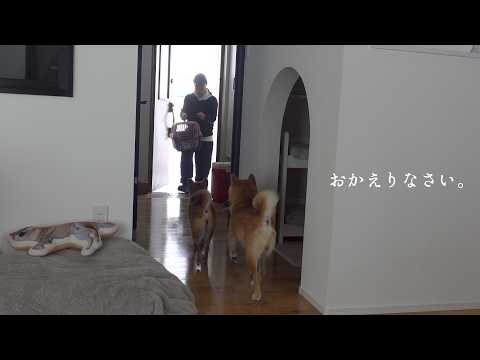 この二日の間に奇跡が起きてました。(YouTube)