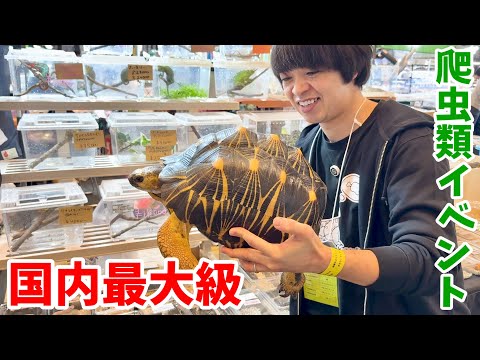 【JRS静岡】とんでもない爬虫類達が大集合の国内最大級の爬虫類イベントが今年も凄すぎた(YouTube)