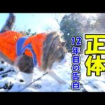 ボス吉はノルウェージャン？これまで100件以上寄せられた疑問の真実を公表します‥【長毛野良猫の正体】(YouTube)