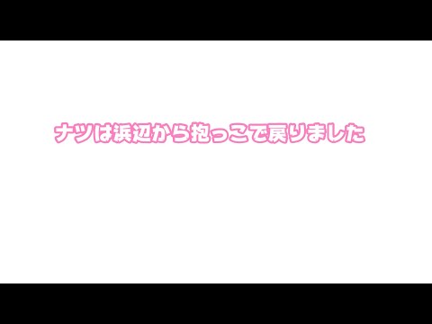 ナツは浜から抱っこで戻りました   2026 01 13 2(YouTube)