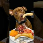 豚の尻尾を誰よりも大好きなダギーさん #asmr(YouTube)