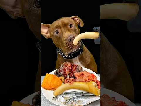 豚の尻尾を誰よりも大好きなダギーさん #asmr(YouTube)