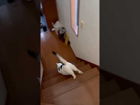 ムチムチのおちり(YouTube)