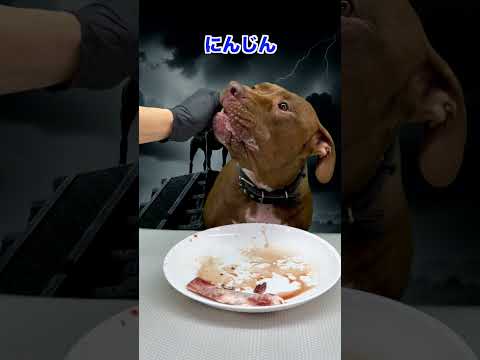 硬そうな骨をも簡単に噛み砕くピットブル(YouTube)