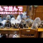 並んで並んで夕ご飯  みんな良い子  2026 01 12 2(YouTube)