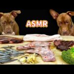 犬の咀嚼音!!生肉を豪快に食べるピットブルのASMR(YouTube)