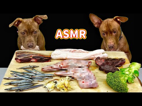 犬の咀嚼音!!生肉を豪快に食べるピットブルのASMR(YouTube)
