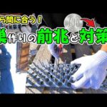 毎日同じ場所に鳥のフン…それ巣作りの前兆です🐦100円で確実に防げる簡単対策DIY(YouTube)