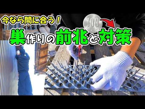毎日同じ場所に鳥のフン…それ巣作りの前兆です🐦100円で確実に防げる簡単対策DIY(YouTube)