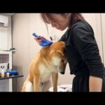 なんで落ち込むのよw(YouTube)